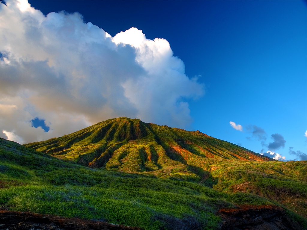 aloha